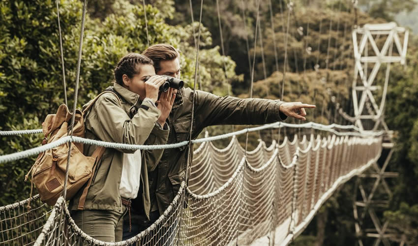 Canopy Walk in Nyungwe Forest National Park