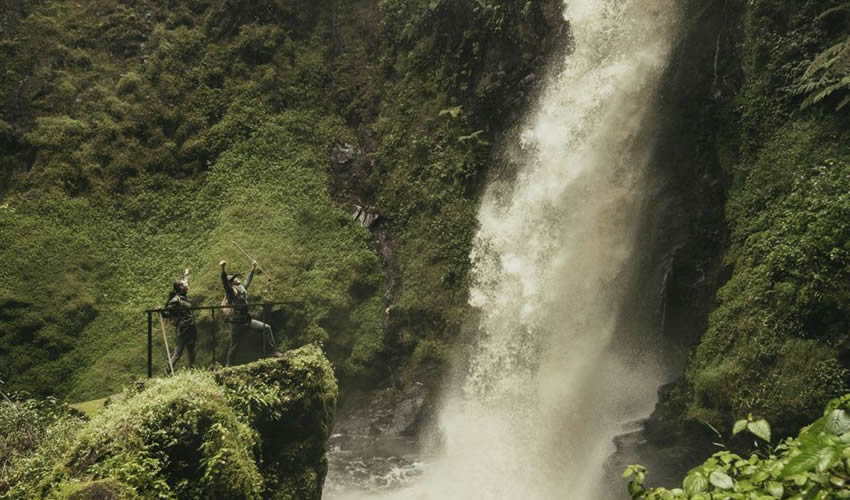 Hiking in Nyungwe Forest National Park